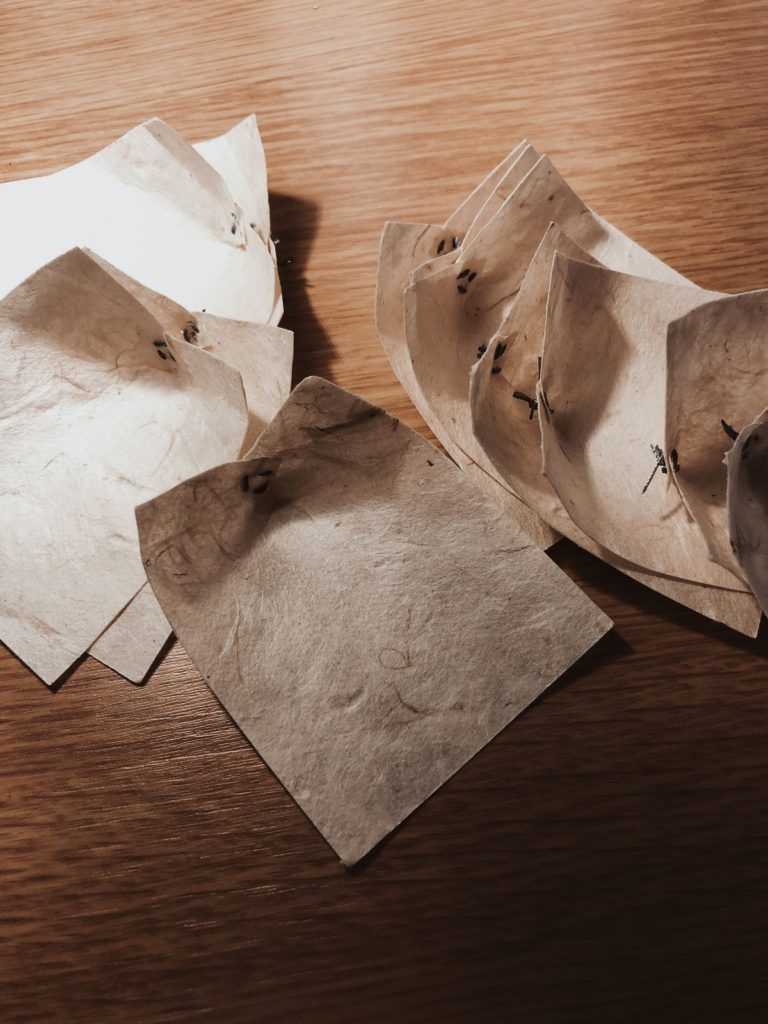 UCA插畫研究所Book Project作品