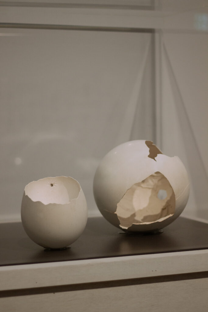 Maria Bartuszová - 空洞中的無限宇宙