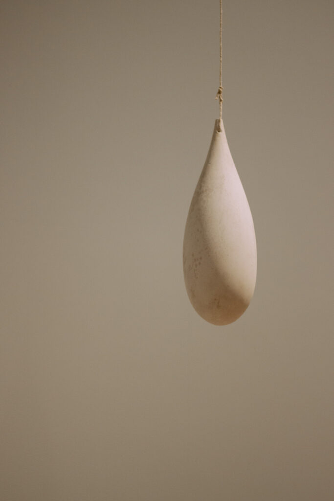 Maria Bartuszová - 空洞中的無限宇宙