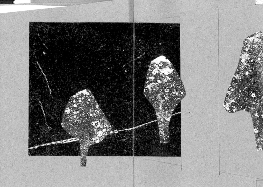 讀uca插畫所那年-ep8-製書工作坊之artists-book啟蒙